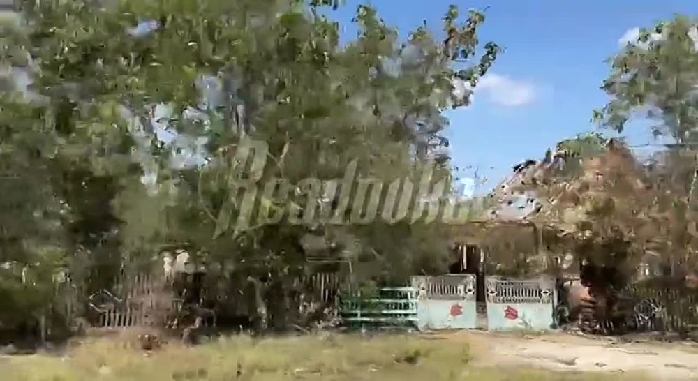 «Мы тоже бдим, поэтому все нормально» — актуальная обстановка на Запорожском направлении от воюющих там бойцов батальона им. Судоплатова