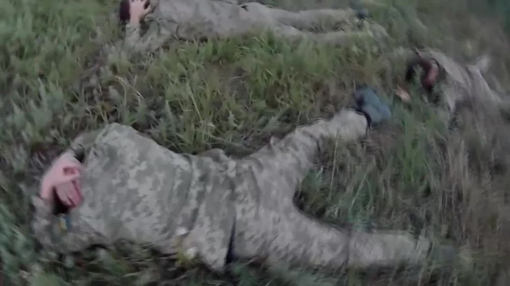 Группа украинских военных у населенных пунктов Работино и Пятихатки на запорожском направлении, где продолжаются безуспешные атаки на позиции российской группировки войск, сдались в плен Вооруженным силам РФ, сообщили нам в Минобороны России