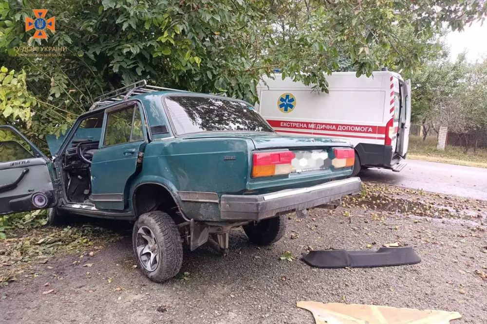 ДТП. На Днепропетровщине ВАЗ въехал в дерево. ДТП произошло сегодня в поселке Николаевка Новомосковского района. Предварительно мужчина не справился с управлением