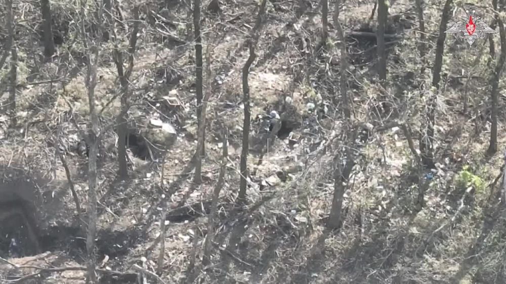 За минувшие сутки Вооруженными Силами Российской Федерации нанесено поражение живой силе и военной технике ВСУ в 117-ти районах в зоне проведения СВО