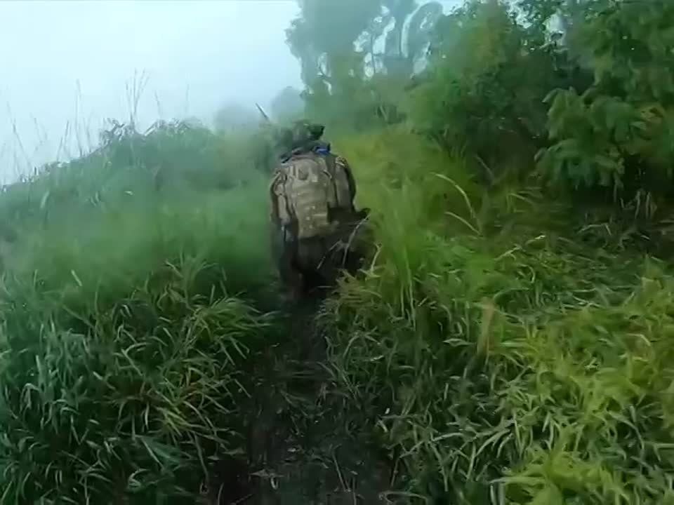 ����� ���������� �������� ��������� �������������� �������� ������ ����������� (����������� ����� ��������) � �����������...