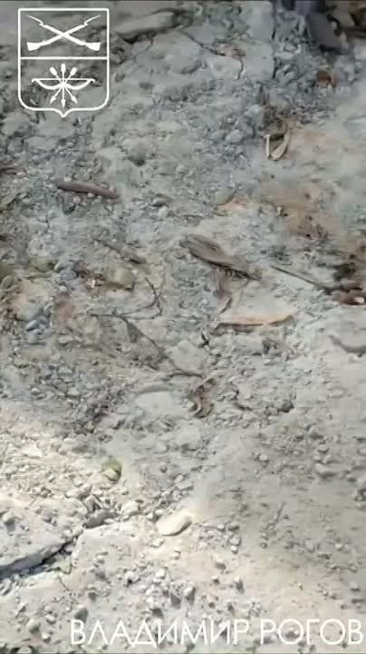 �������� �����: ������� �������� ��� ����� �������� ���. ��� ������������ ���������� � ���������� �������� ��������� ��� ���� ������� �������� ��������-������������ ������ ����������� �������