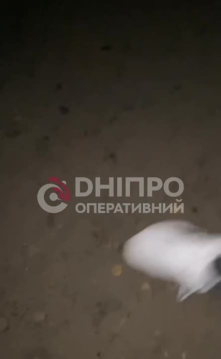 ����� �����: ��������� ������� � ������ � ���������������