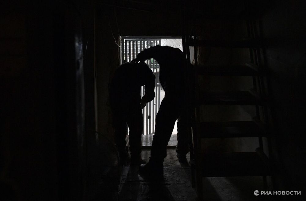 ������ � ���� �� ������ ���������� ������� �������� �����-���������