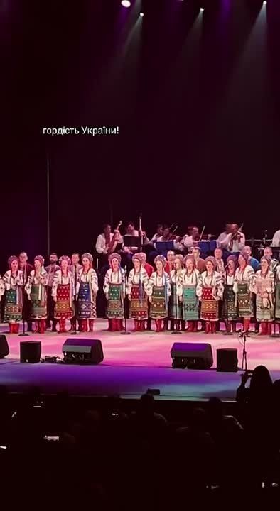 У Зели в ОП началась беготня и истерика, ну вот такую песню услышать