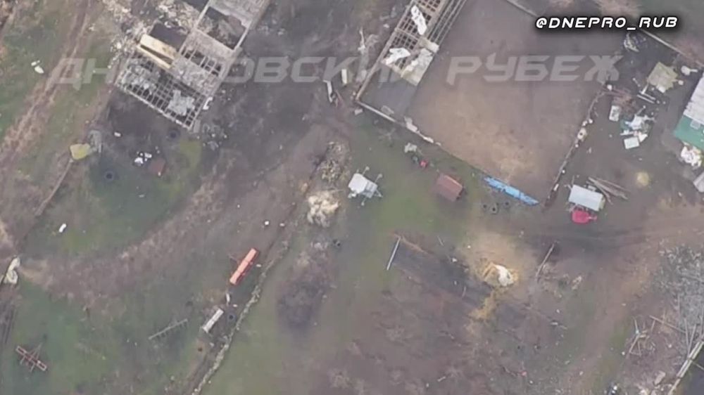 ����� �����: ����������� ����� "�����". ���������� �����������