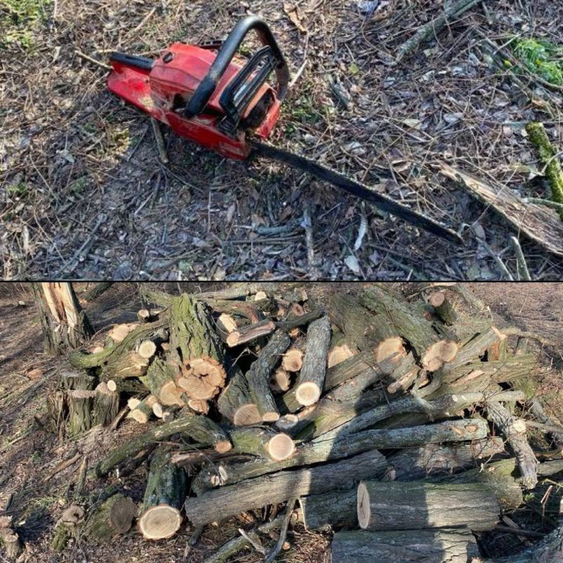 В Днепровском районе обнаружили граждан, которые незаконно спилили деревья