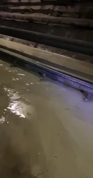 ������ ������� ����� �� ����� ������� ����� �� ������� ��������� �����
