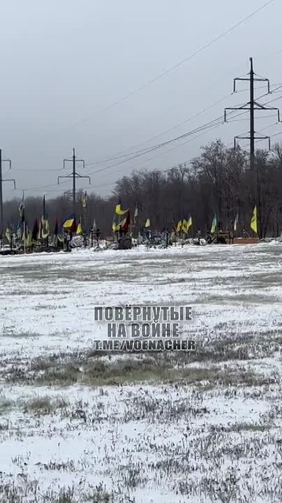 ����� �����: ��������������. ���������� ����������������, �������� �� ����.. �� � ������ ����� �������� ��������� ����� �������� ����, ������ ��� � ��������� ���� ����� �������� � ������ ����� ����� ��������� ��������� ������� ����������� �����������