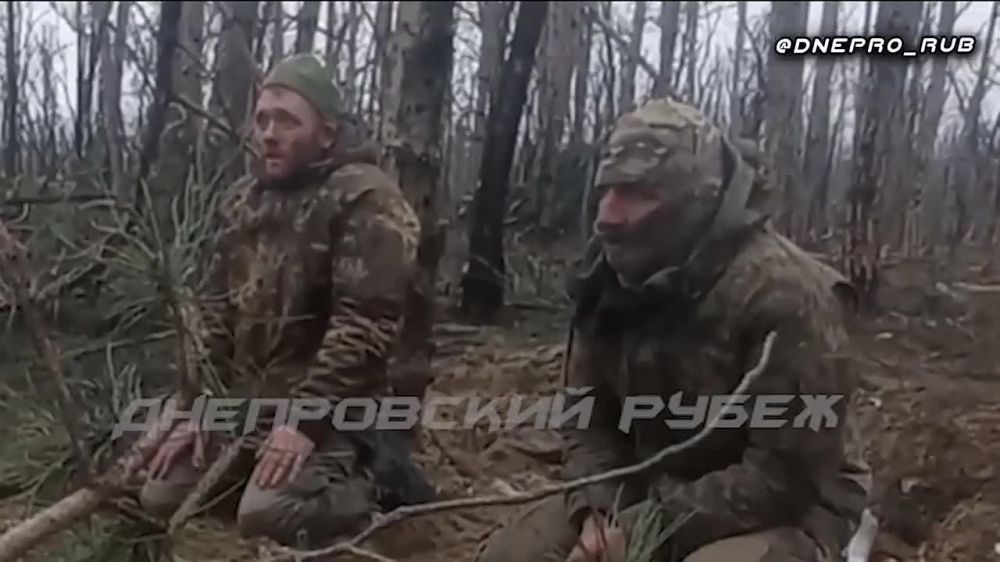 ����� �����: ��������� ����� ��� ������� � ����