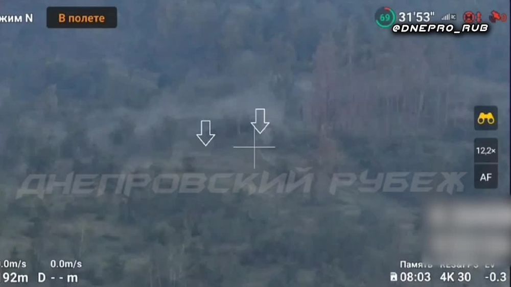 ����� �����: ����������� ����� "�����". ���������� �����������