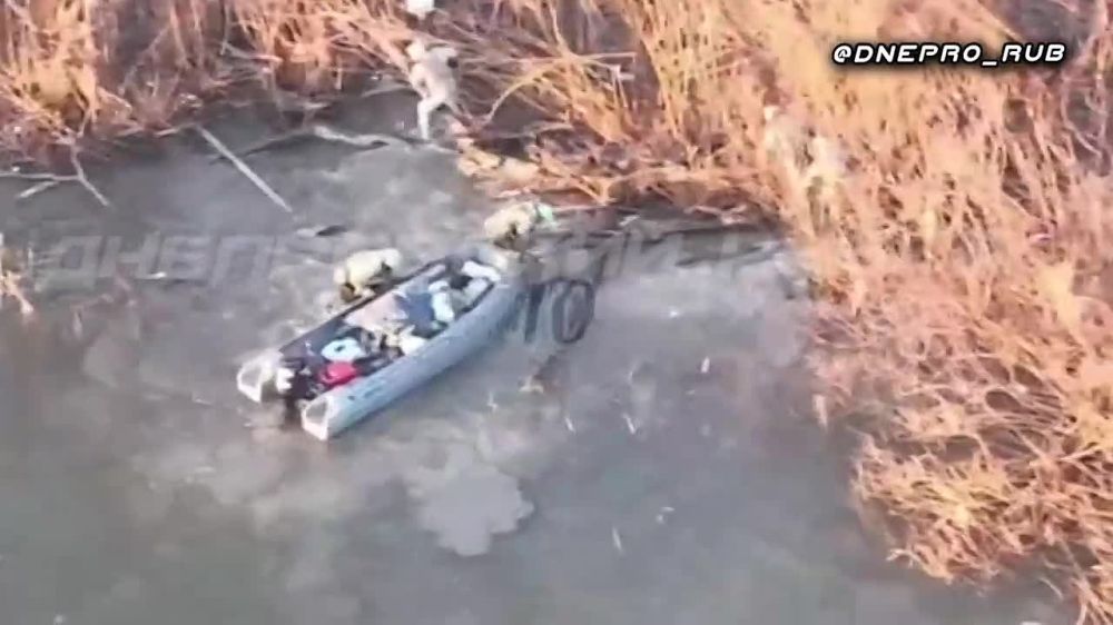 ����� �����: ����������� ����� "�����". ���������� �����������