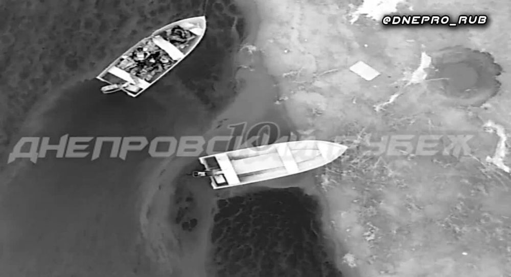 ����� �����: ����������� ����� "�����". ���������� �����������