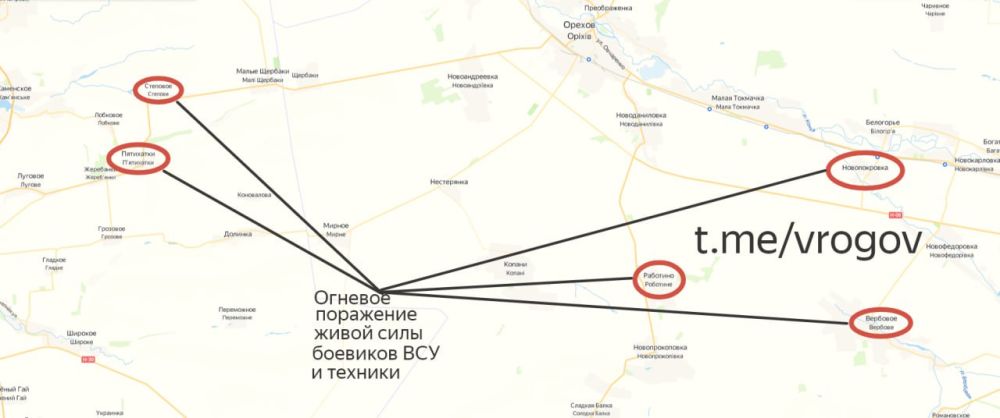 Владимир Рогов: Сводки с Запорожского фронта