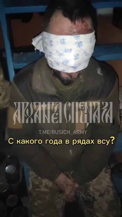 «Видел только блиндаж»