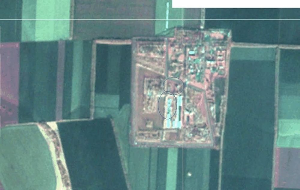 ����� �����: ��� ������ ��� ������ ����� ���� "� �������"