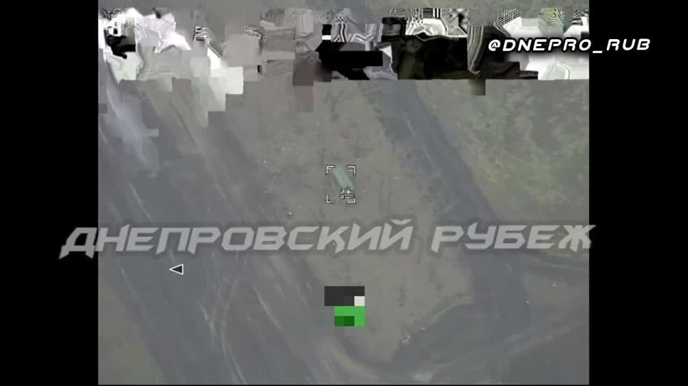 ����� �����: ����������� ����� "�����". ���������� �����������