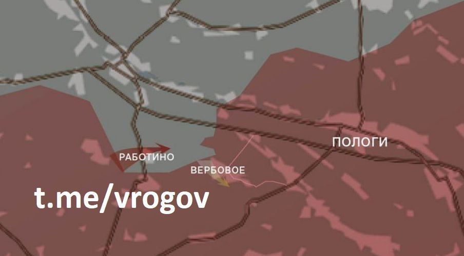 Владимир Рогов: Сводки с Запорожского фронта