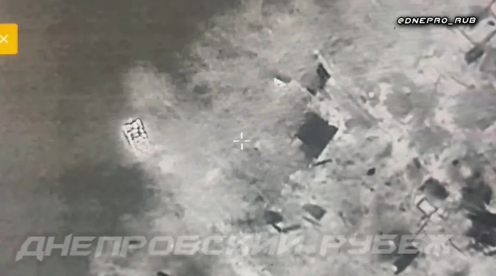 ����� �����: ����������� ����� "�����". ���������� �����������