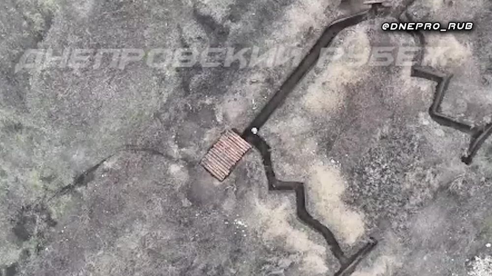 ����� �����: ����������� ����� "�����". ���������� �����������