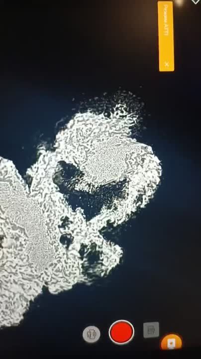 ����� �����: ����� � ������. ���������� �������. ����� �. �. ������