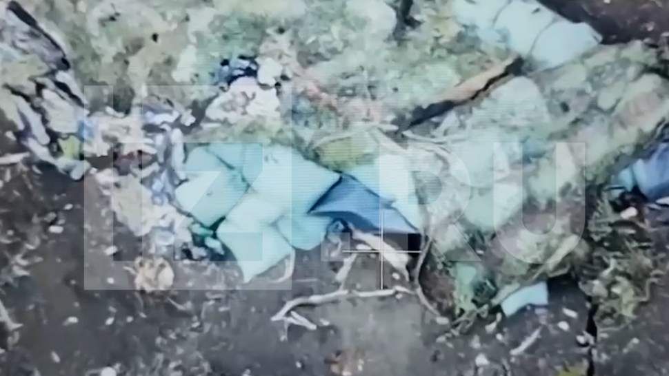 ���������� ������� �������� ���������� FPV-����� �����