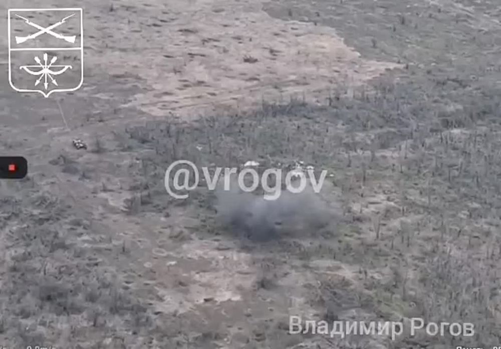 Владимир Рогов: Каждый удар - точно в цель!