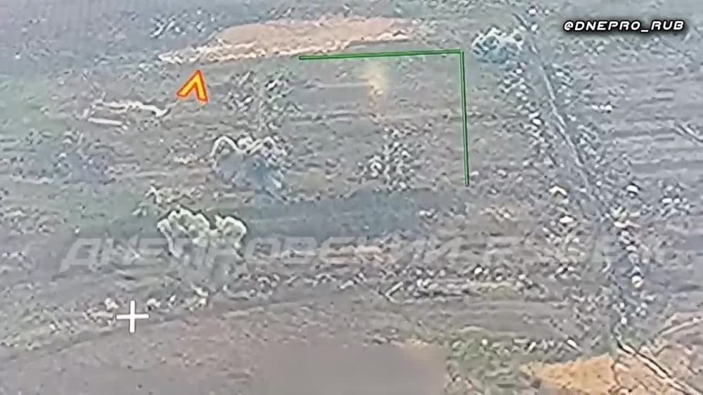 ����� �����: ����������� ����� "�����". ����������� �����������. ���-500 �������� ������� �������� ��� ��������