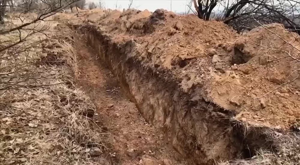 ���� ��������.������� ��� ������� �������������� ���� ���������� ���� � ������ ��������