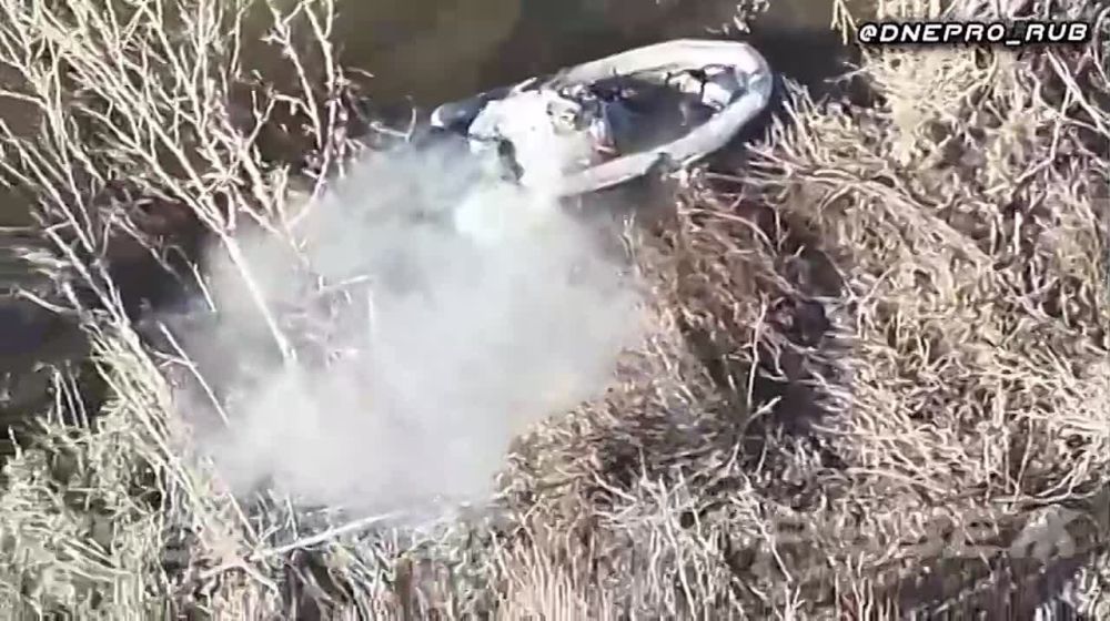 ����� �����: ����������� ����� "�����". ���������� �����������