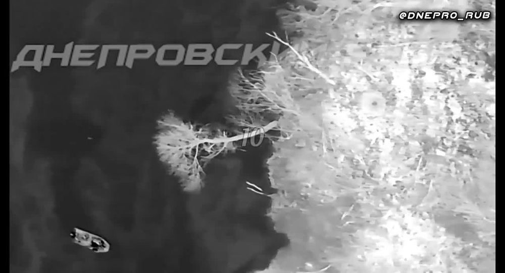 ����� �����: ����������� ����� "�����". ���������� �����������