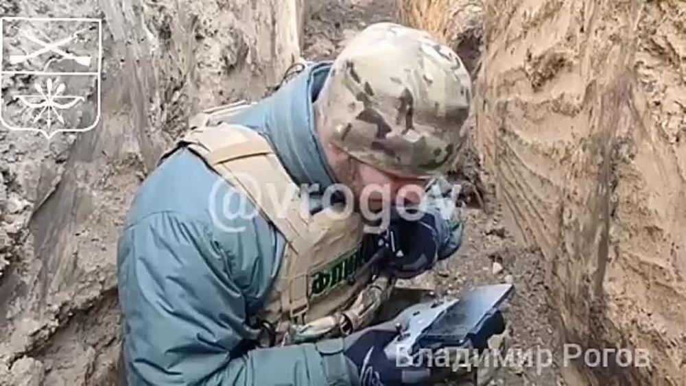 �������� �����: ��� ������� ����� ������� �������� ����������