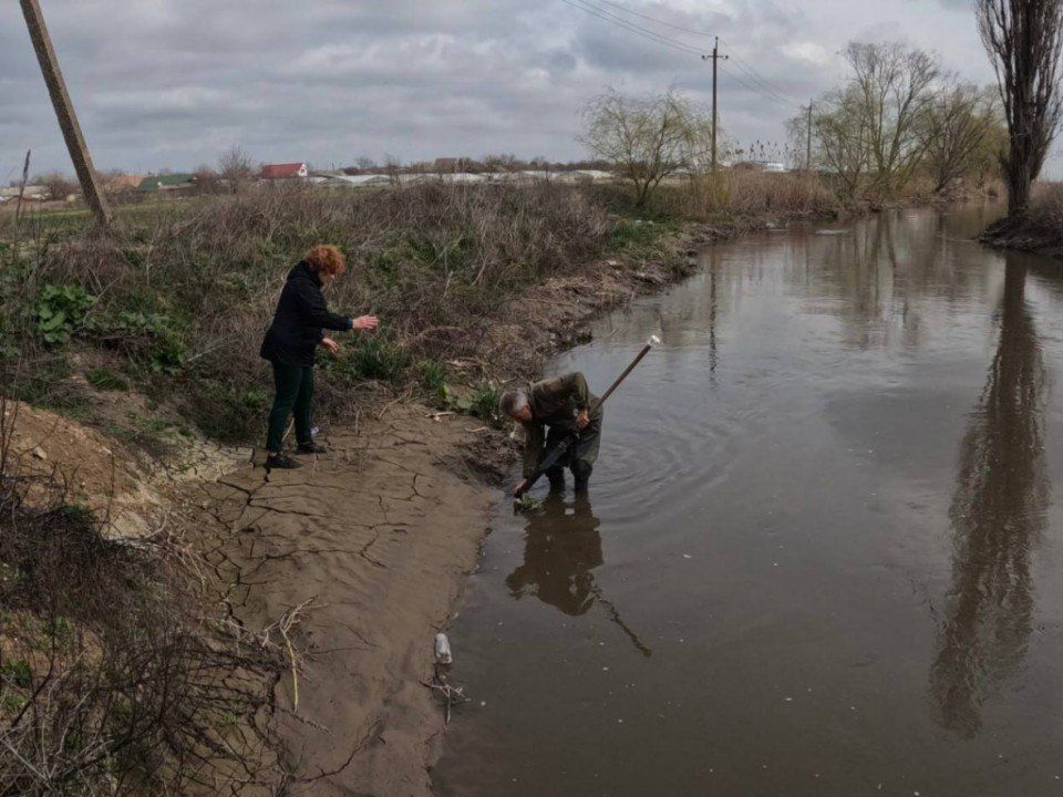 Специалисты Института биологии южных морей имени А.О. Ковалевского РАН исследовали воду из реки Салгир возле сёл Красная зорька (Симферопольский район) и Пятихатка (Красногвардейский район) и обнаружили наибольшую концентрацию токсинов