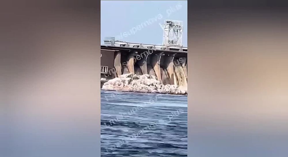 ����� �����: ��� ����� �������� �� ���������� 22 �����