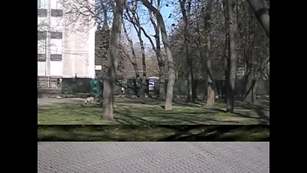 ������ ���� � ������� ������