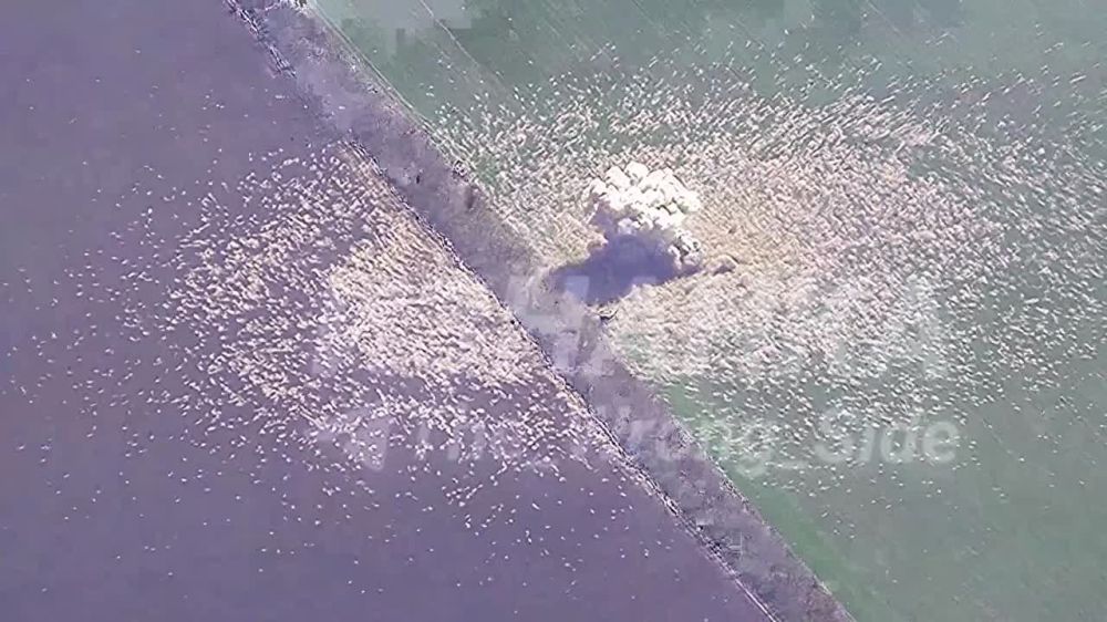 ����� �����: �� ����������� ������� ��� ���