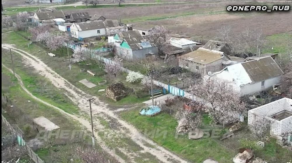 ����� �����: ����������� ����� �����. ���������� �����������