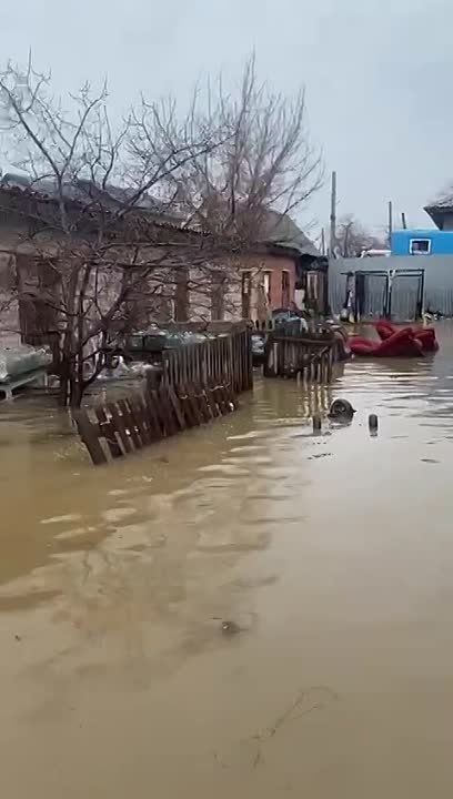 ��������������� ������������ ������� ������ �� ����������� ������������ ������� ����� � ������������� ���������: �������� ����� �� ����, ����� ����������� �� ������