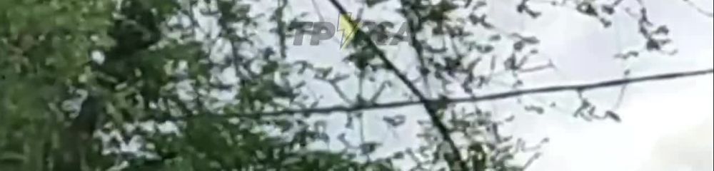 ����� �����: ����� ����� ������� � ������ ���������������