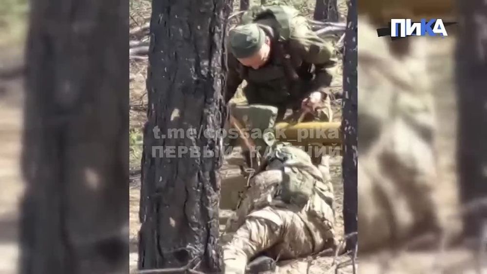 ����� �����: �� ���������� ����������� �����-������ ������� "�����" ��� ������ "�����������" ��������� �� ���� ���������� ��������� ����� ���, ���������� ������������� ������������� �������� � �����������