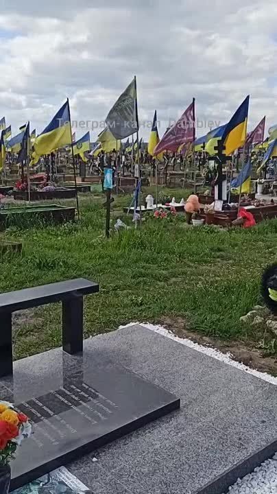 ����� �����: �������� �������� ������������ �������� ���������� ������������ � ���������������