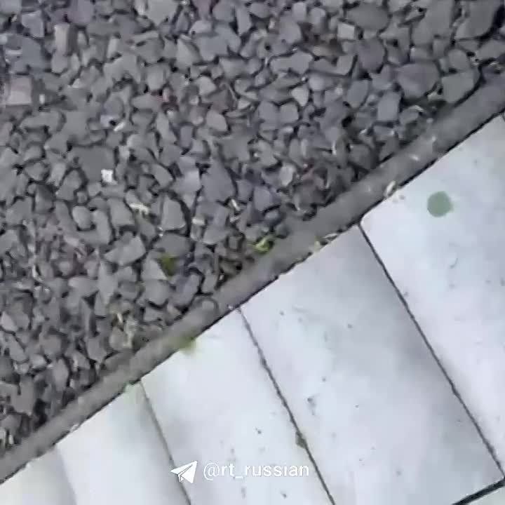 ������ ����� ����� �������� ����� ��������� ������� ��������