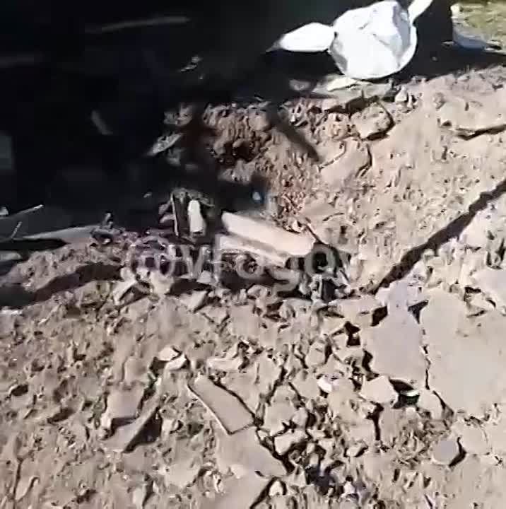 ���� ������� ���������� ����� �������� ���������� �������-�����������