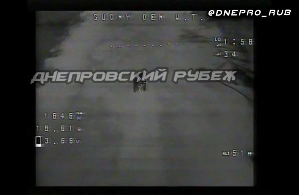 ����� �����: ����������� �����������