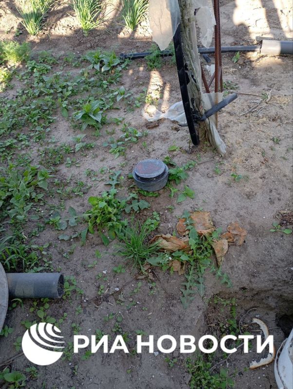 ����� ����� ��� �� �������-����������� � ����������� ������� ������ ������ ���������� � �������� � ���������� ����������, ��������� ��� ������� ����������� �������� ������ �������