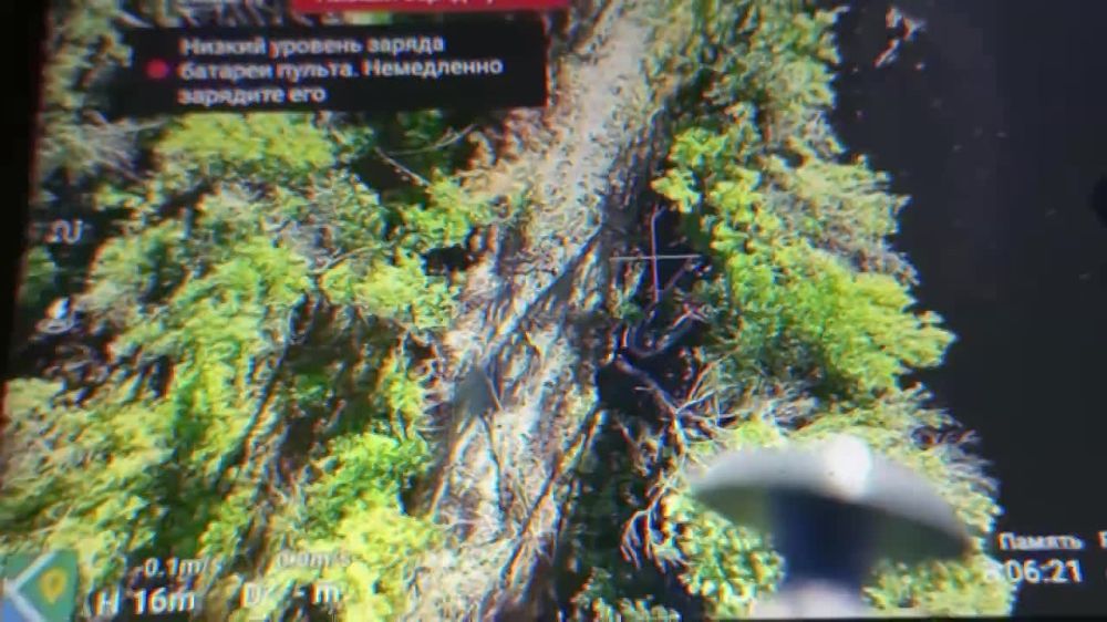 ����� �����: ������������ ����� � ������ ���������� ���� ����������� "�����"