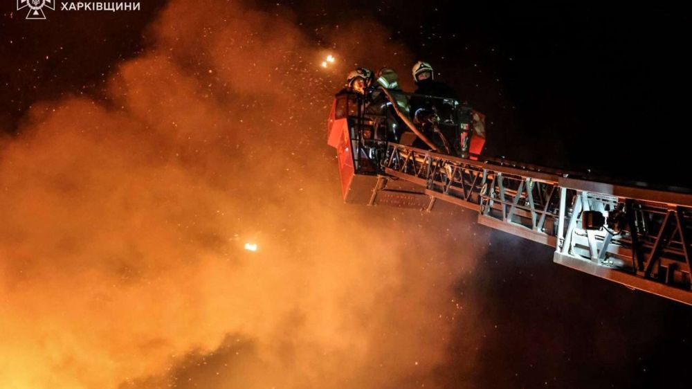 � �������� �������� ���������� ������� ����������� �������������� - ������