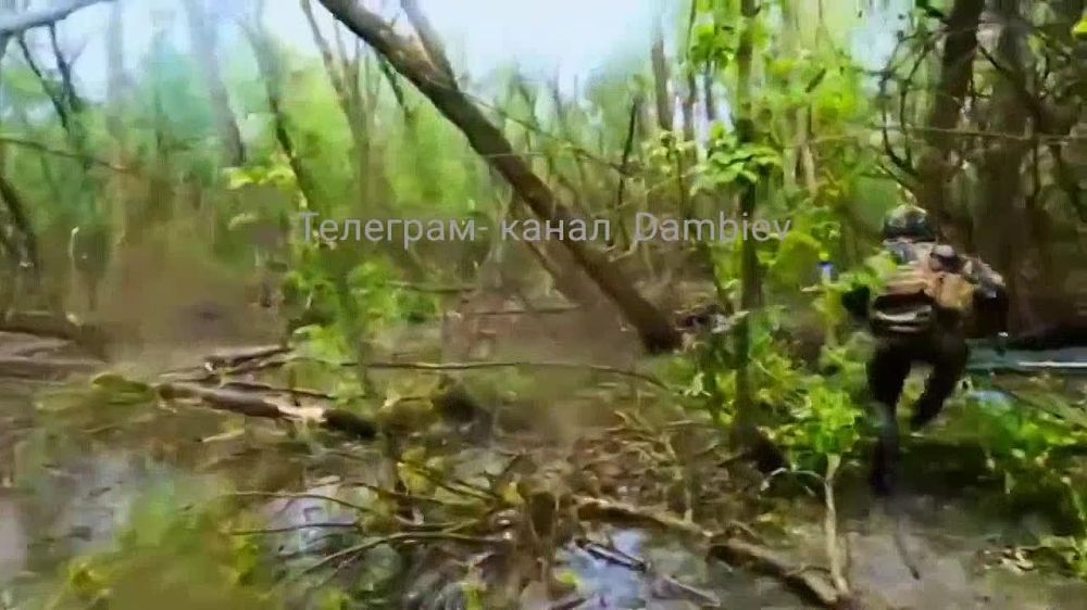 ��������� �������: ������ ���������� �������� �� 137 ���������� ��������� ������� ������ ������ ��� ���������� ���� ������� ����� �� ����������� ������