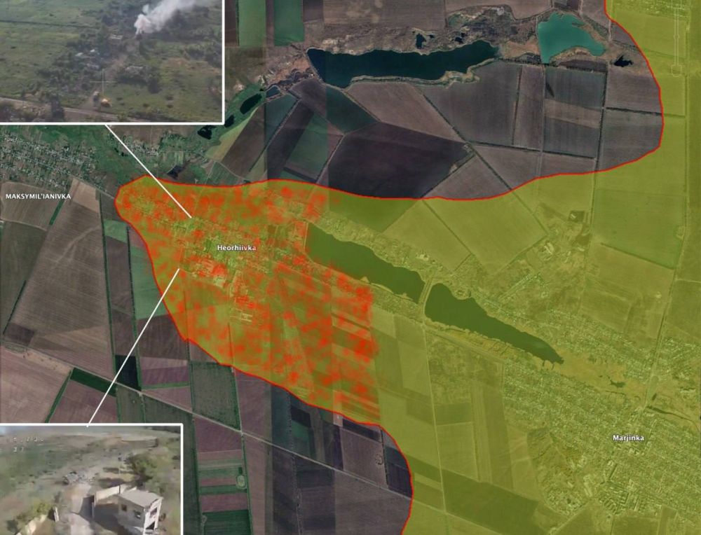 ���� ��������: ����� �� �������� 7 �� �� ����, ����� ���������� �������� ���� �������� ��� � �������� �������, � Bild