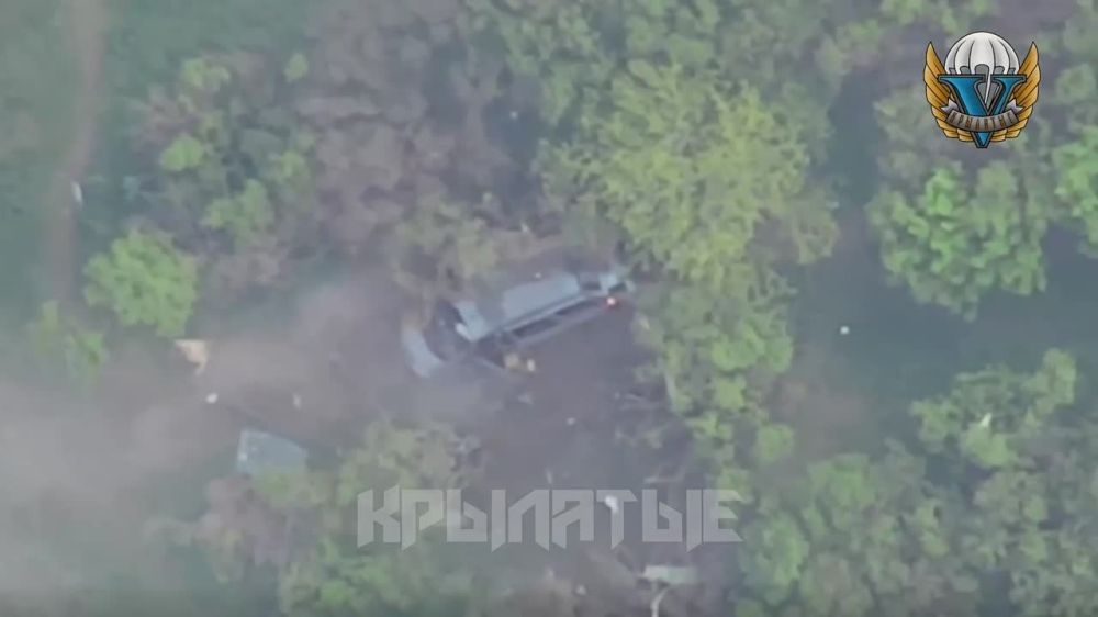 ����� �����: ���������� �����������, ������ ����� ������